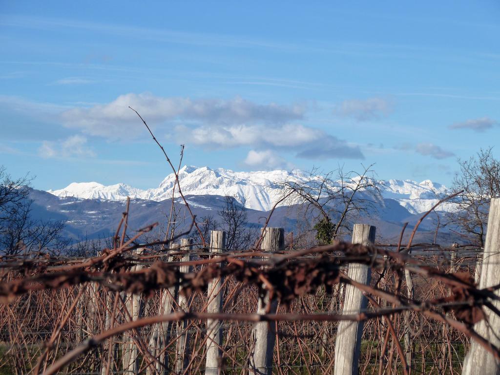 Tenuta Perusini Corno di Rosazzo Eksteriør billede